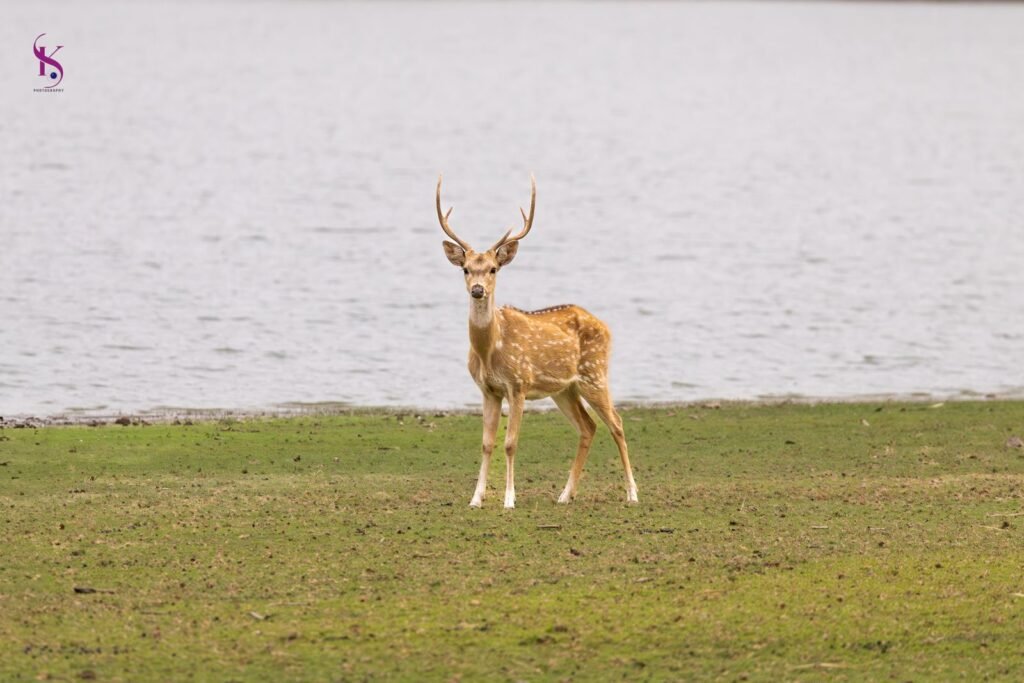 whatsapp image 2026 02 07 at 10.10.37