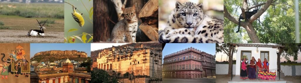 combined vertical image